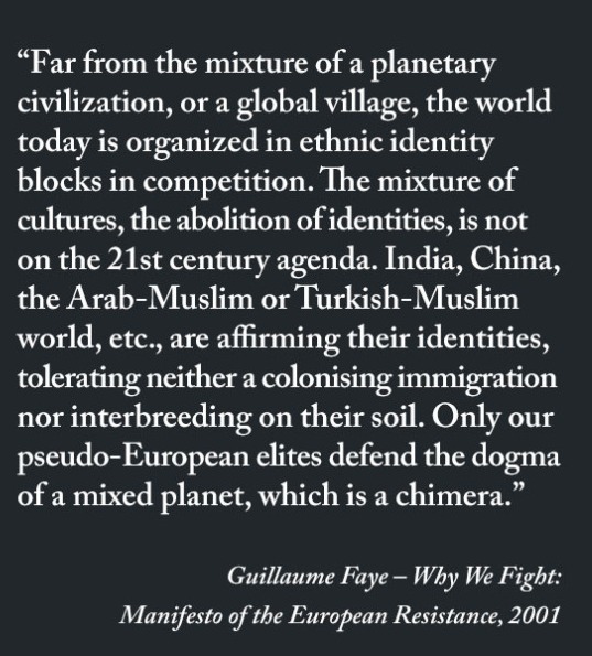 Guillaume Faye, quote Why We Fight